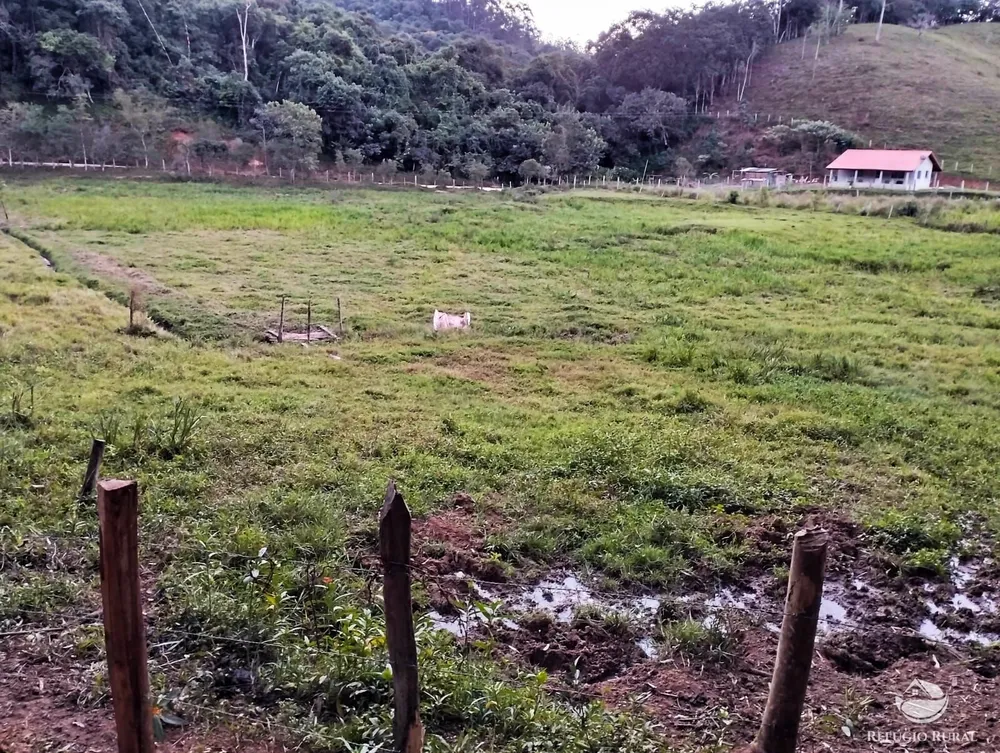 Chácara, 24 hectares - Foto 4