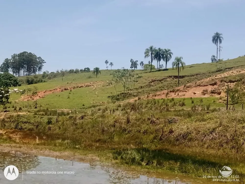 Sítio, 80 hectares - Foto 4