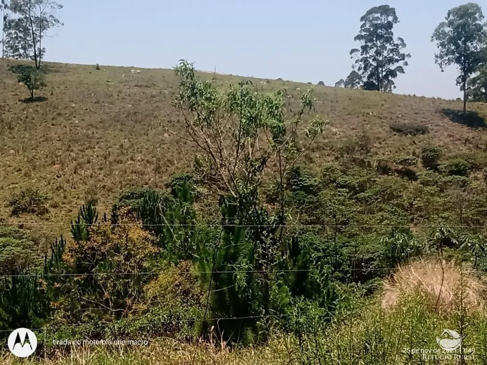 Sítio, 80 hectares - Foto 10