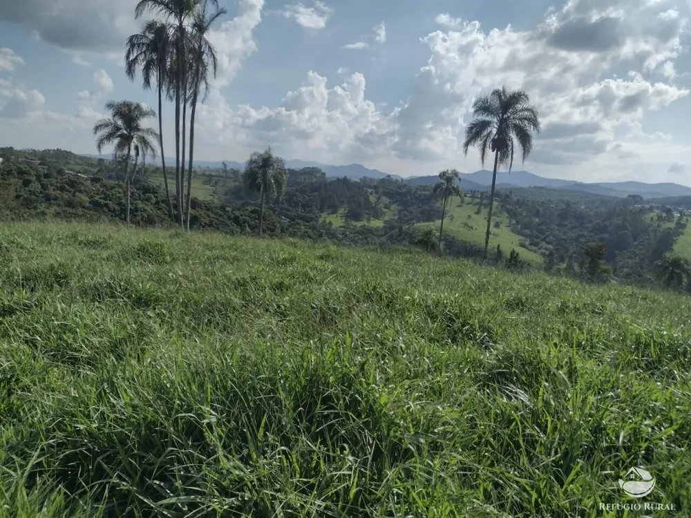 Sítio, 80 hectares - Foto 1