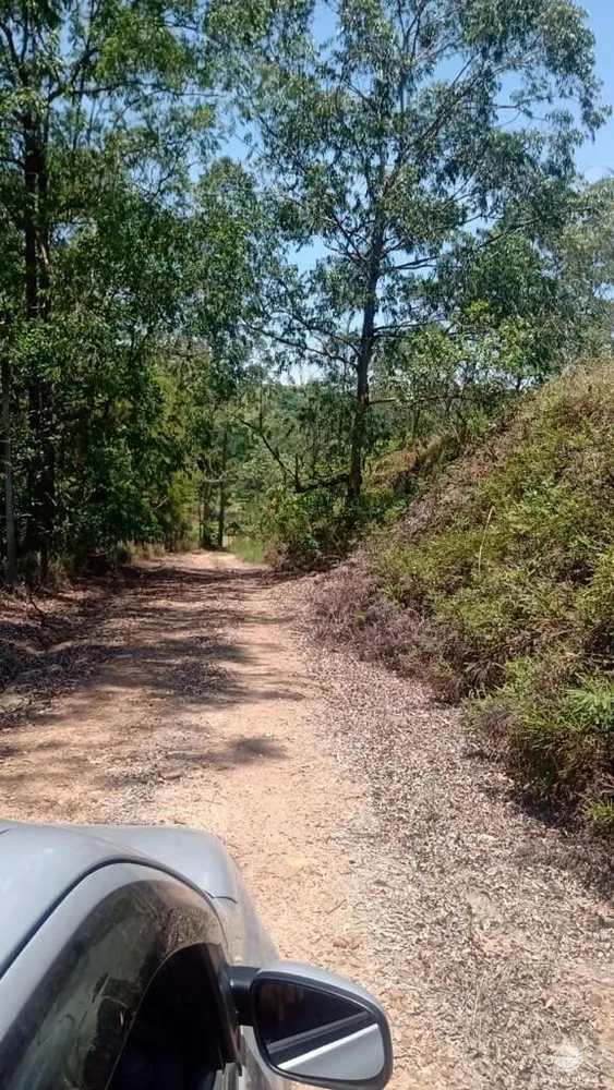 Sítio, 80 hectares - Foto 14