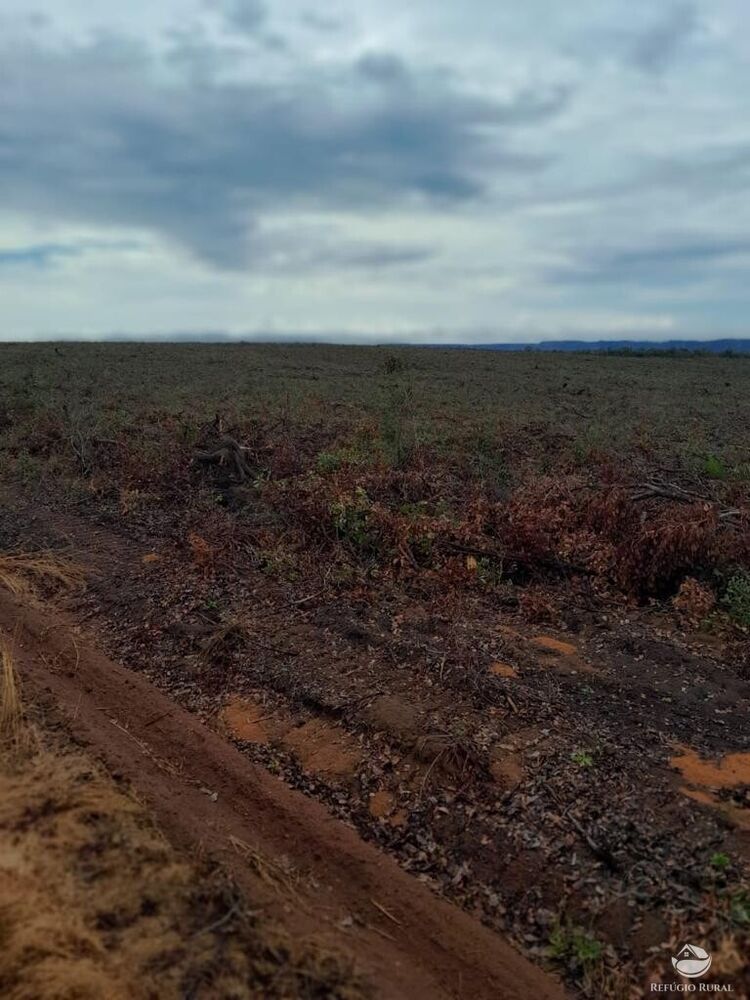 Fazenda à venda com 1 quarto, 56000000m² - Foto 4