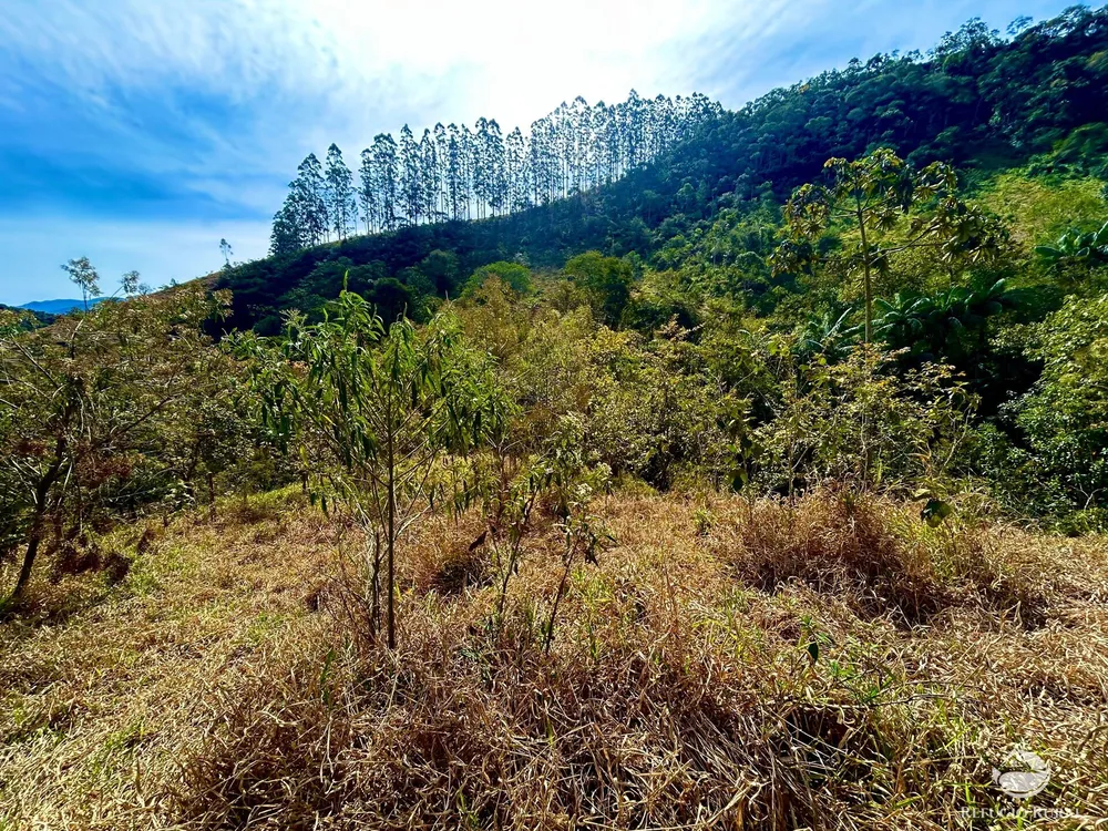 Terreno, 2 hectares - Foto 11