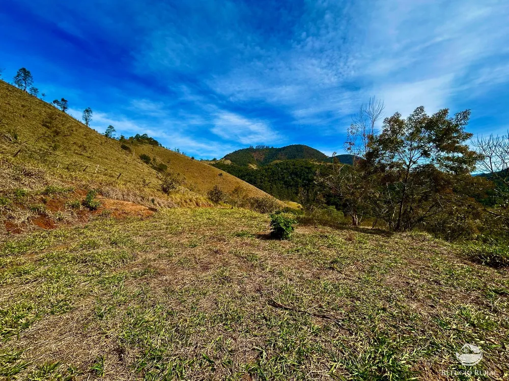Terreno, 2 hectares - Foto 6