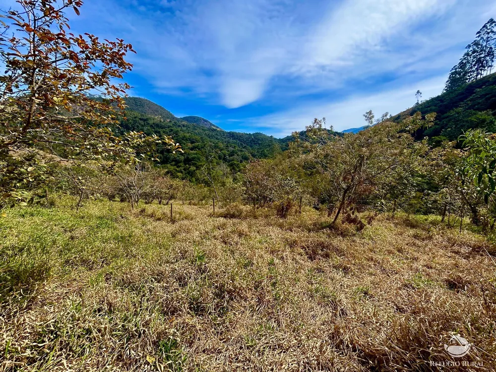Terreno, 2 hectares - Foto 8