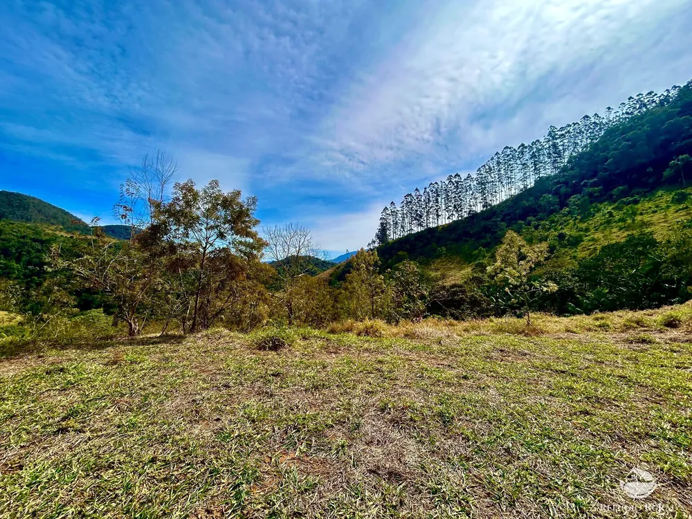 Terreno, 2 hectares - Foto 9