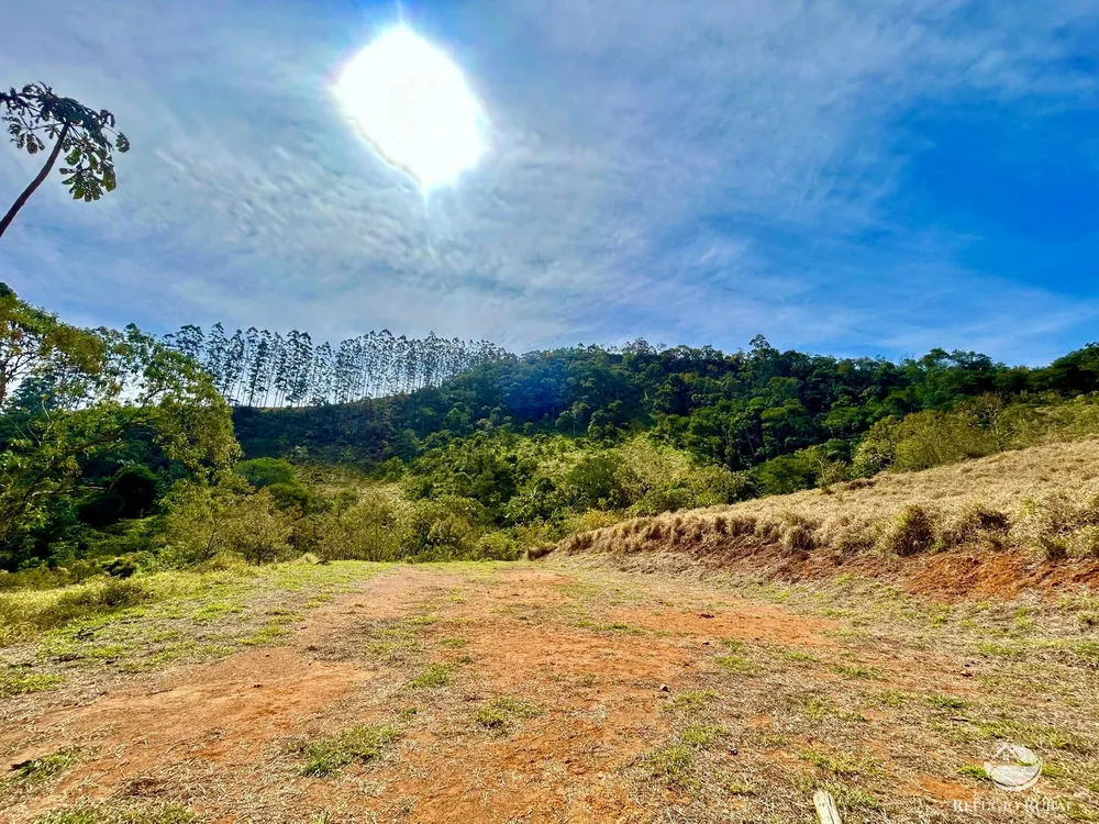 Terreno, 2 hectares - Foto 4