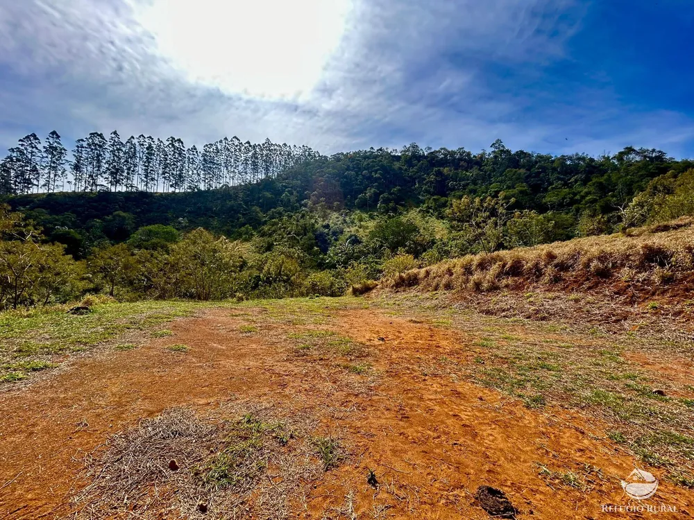 Terreno, 2 hectares - Foto 12