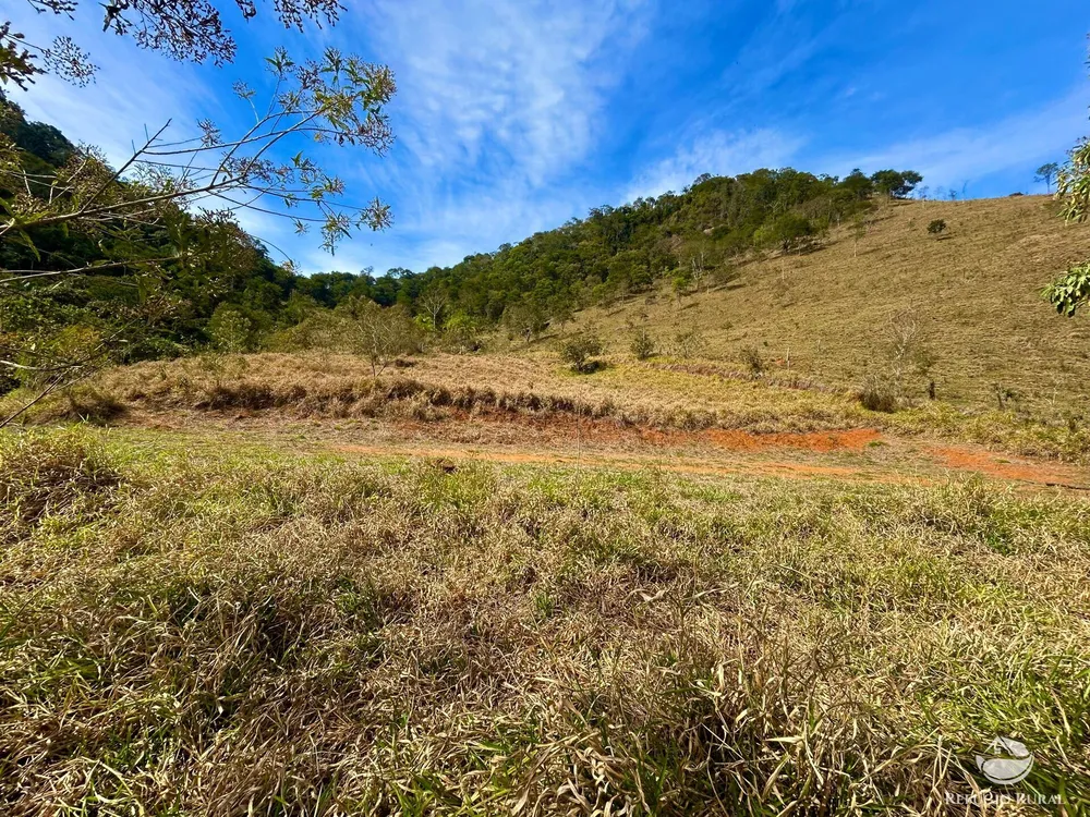 Terreno, 2 hectares - Foto 10