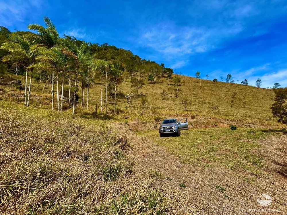 Terreno, 2 hectares - Foto 1