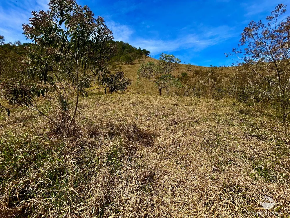 Terreno, 2 hectares - Foto 7