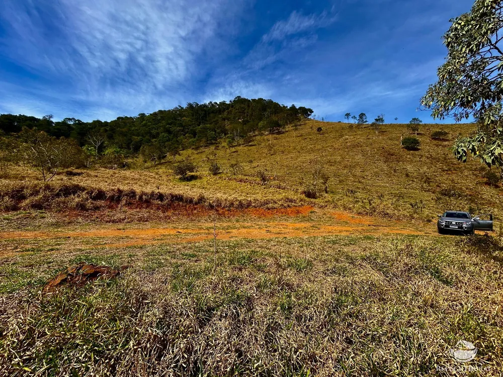 Terreno, 2 hectares - Foto 3