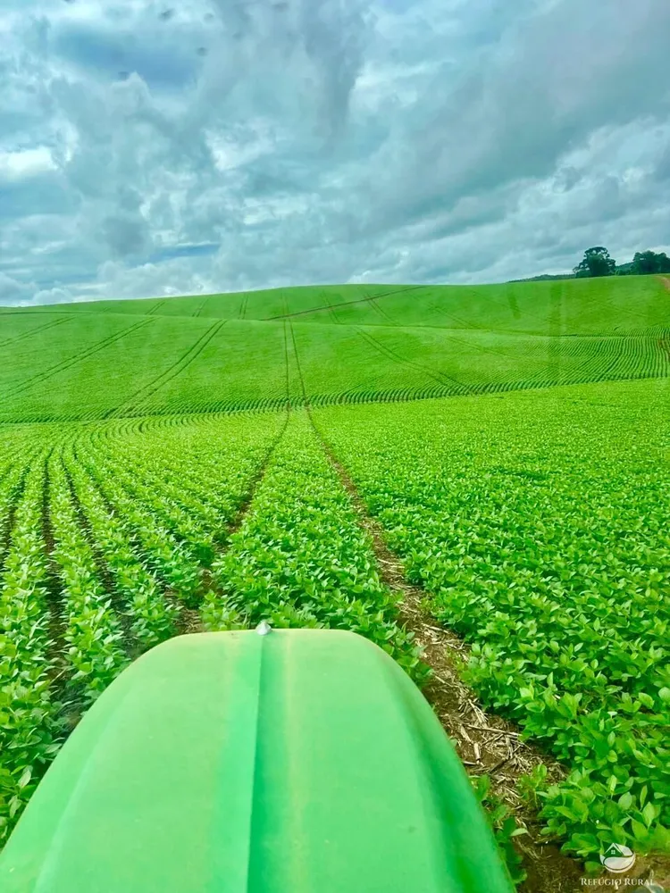 Fazenda, 581 hectares - Foto 10