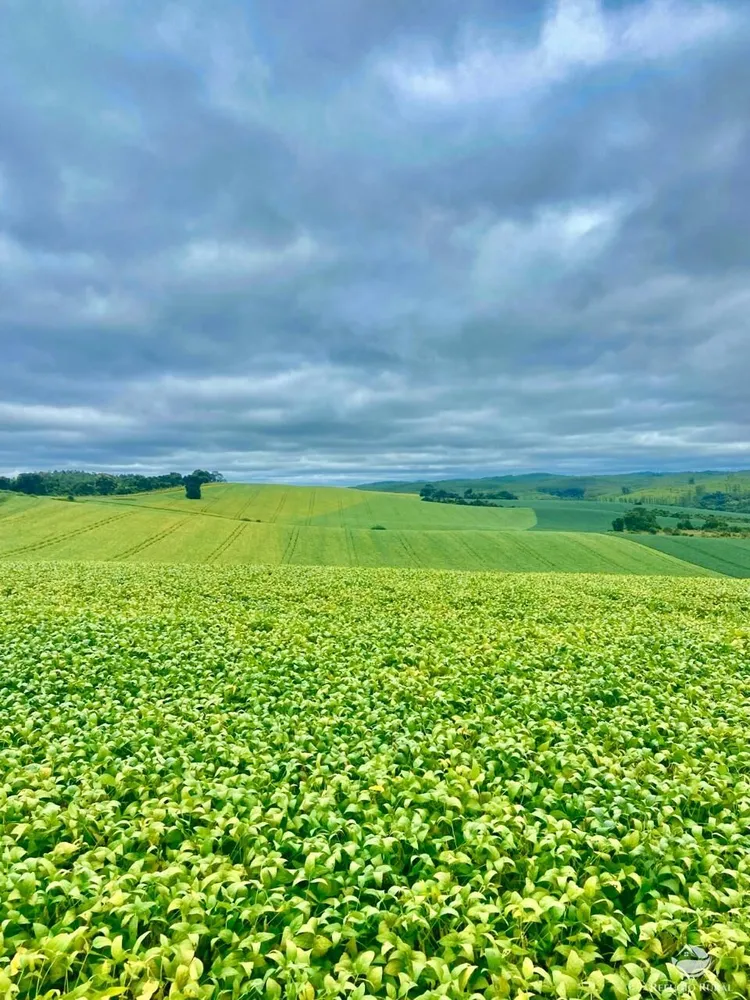 Fazenda, 581 hectares - Foto 12