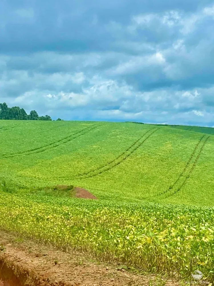 Fazenda, 581 hectares - Foto 11