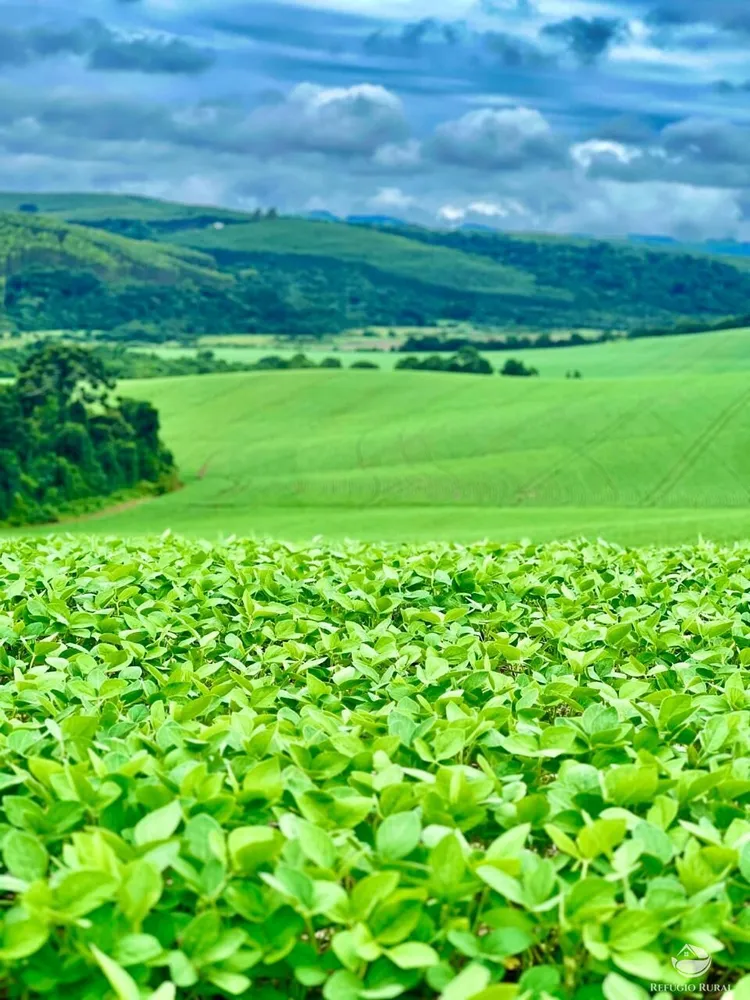 Fazenda, 581 hectares - Foto 1