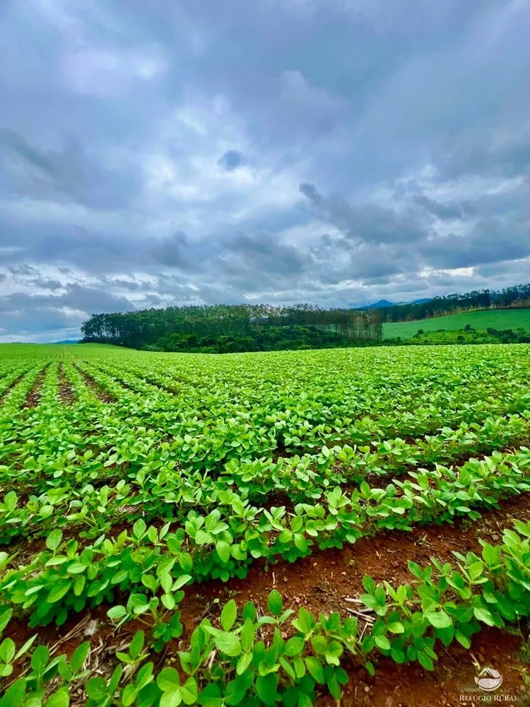 Fazenda, 581 hectares - Foto 2