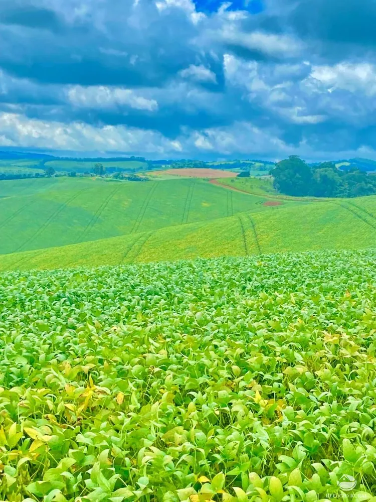 Fazenda, 581 hectares - Foto 14