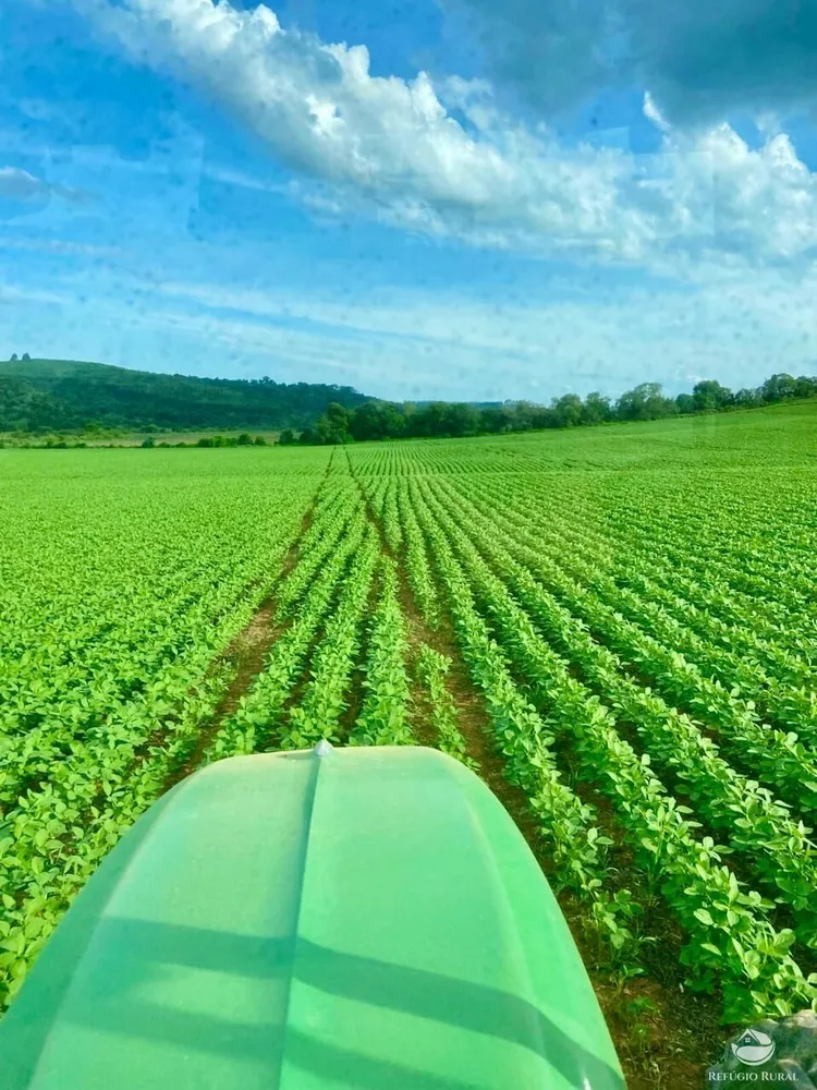 Fazenda, 581 hectares - Foto 8
