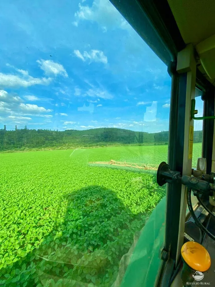 Fazenda, 581 hectares - Foto 6
