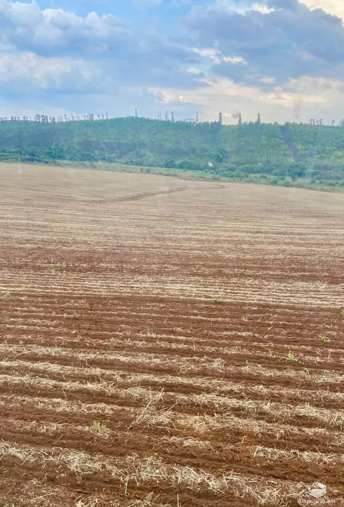 Fazenda, 581 hectares - Foto 16