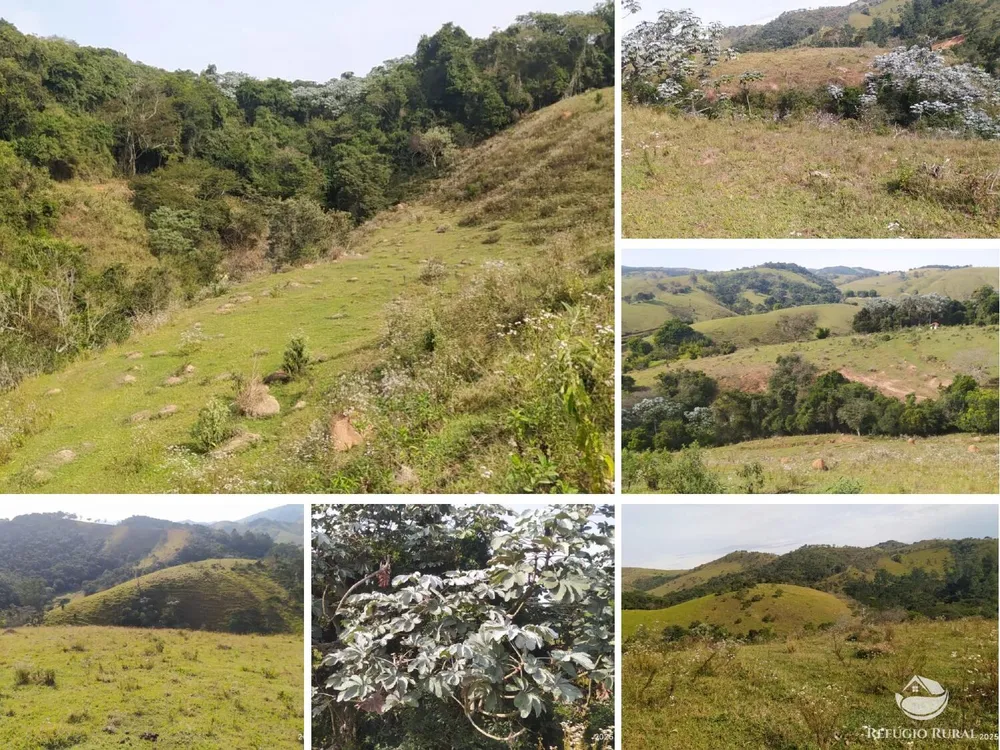 Sítio, 48 hectares - Foto 4