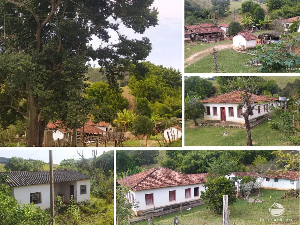 Sítio, 48 hectares - Foto 1