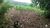 Fazenda-Sítio-Chácara, 10 hectares - Foto 6