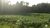 Fazenda, 10 hectares - Foto 1