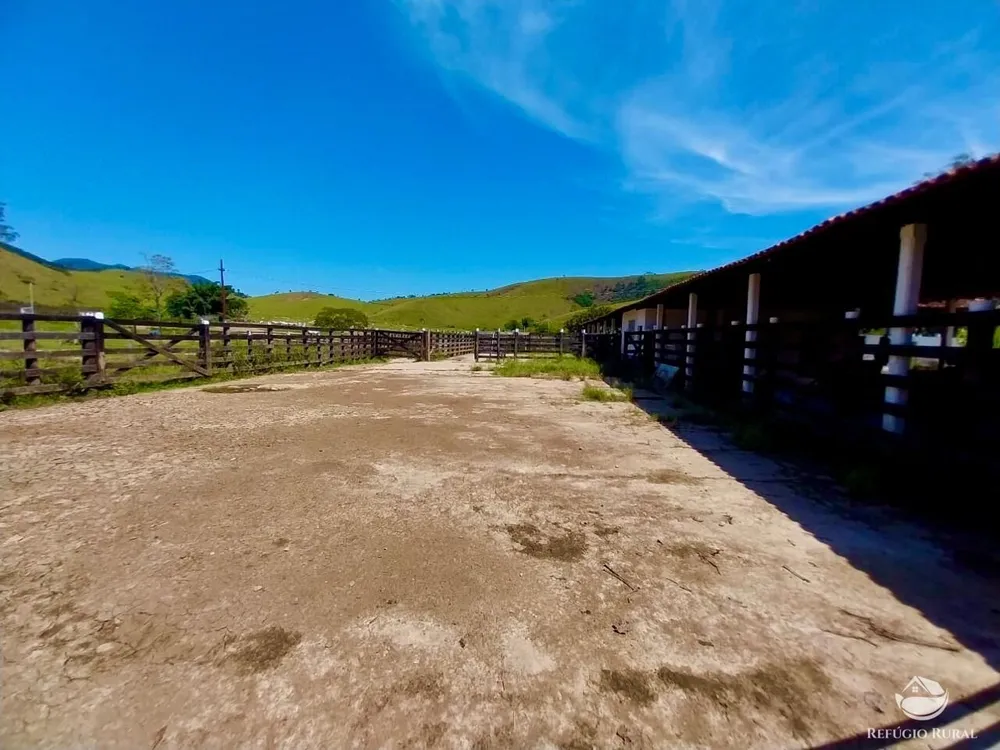 Fazenda, 499 hectares - Foto 13
