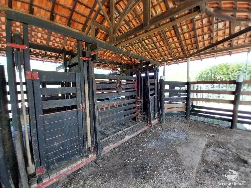 Fazenda, 499 hectares - Foto 9