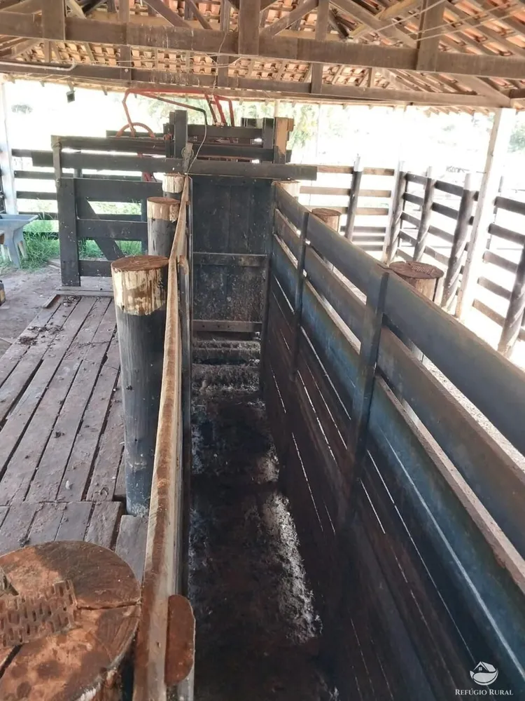 Fazenda, 499 hectares - Foto 10