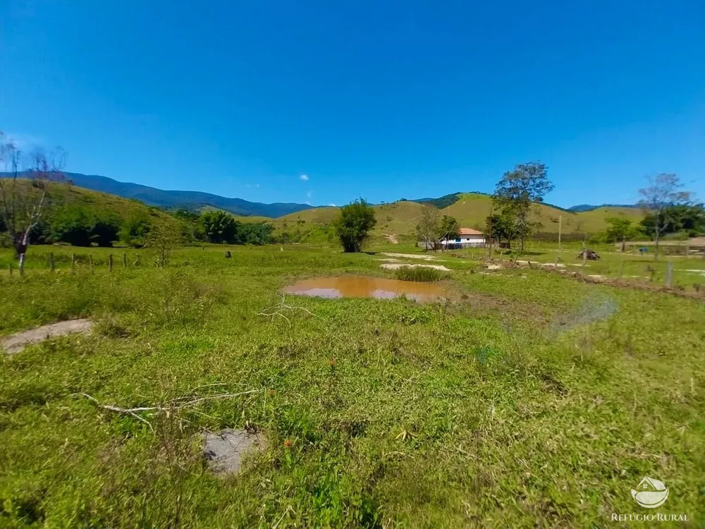 Fazenda, 499 hectares - Foto 12