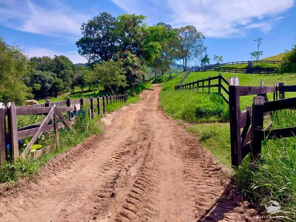 Fazenda, 499 hectares - Foto 8