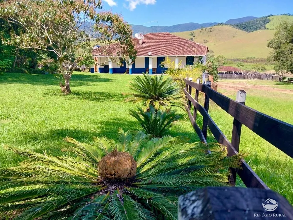 Fazenda, 499 hectares - Foto 2
