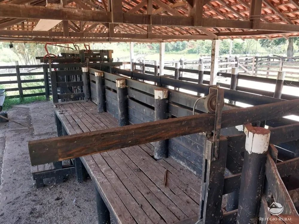Fazenda, 499 hectares - Foto 11