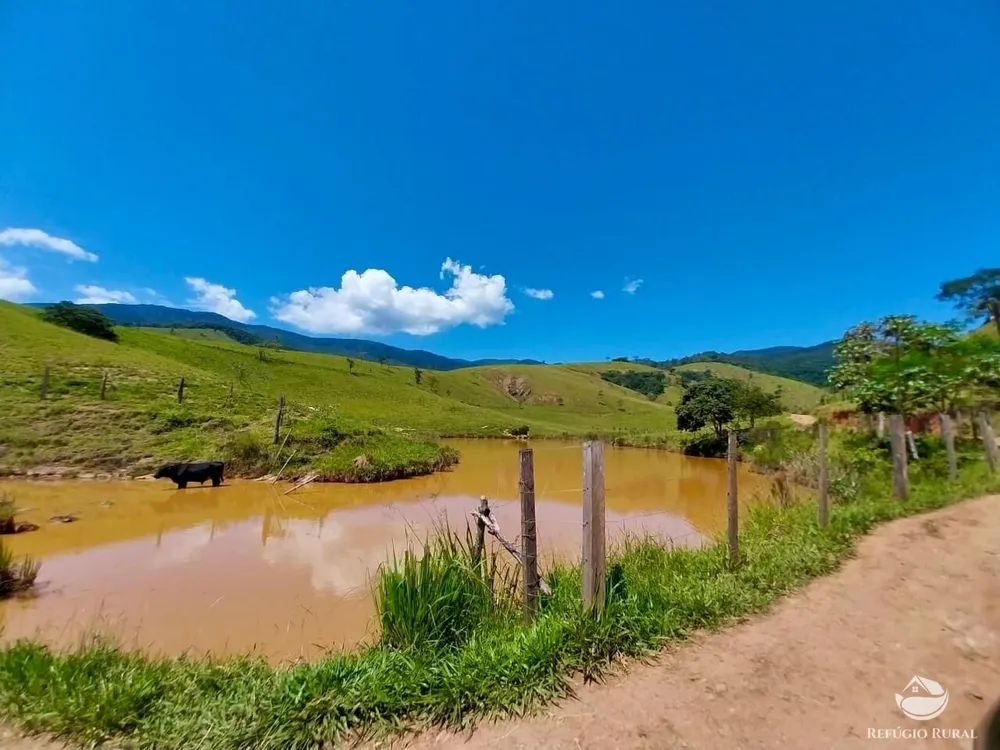 Fazenda, 499 hectares - Foto 16