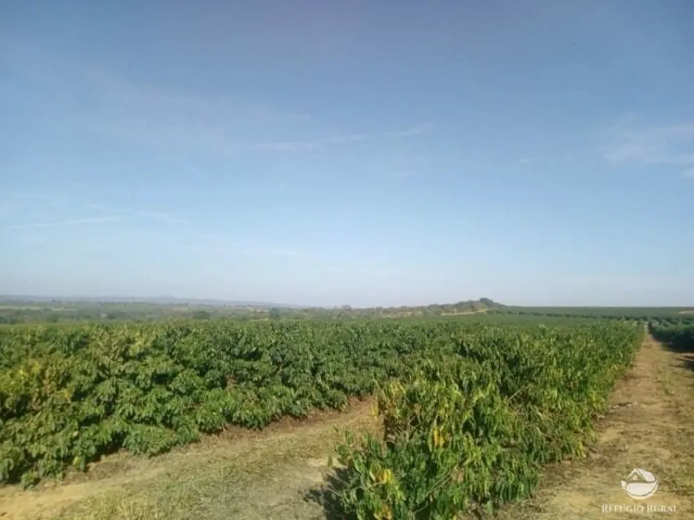 Fazenda, 470 hectares - Foto 3