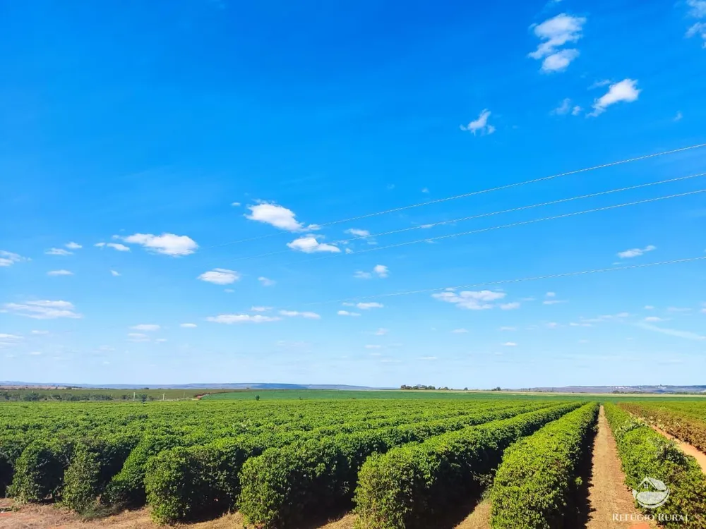 Fazenda, 470 hectares - Foto 1
