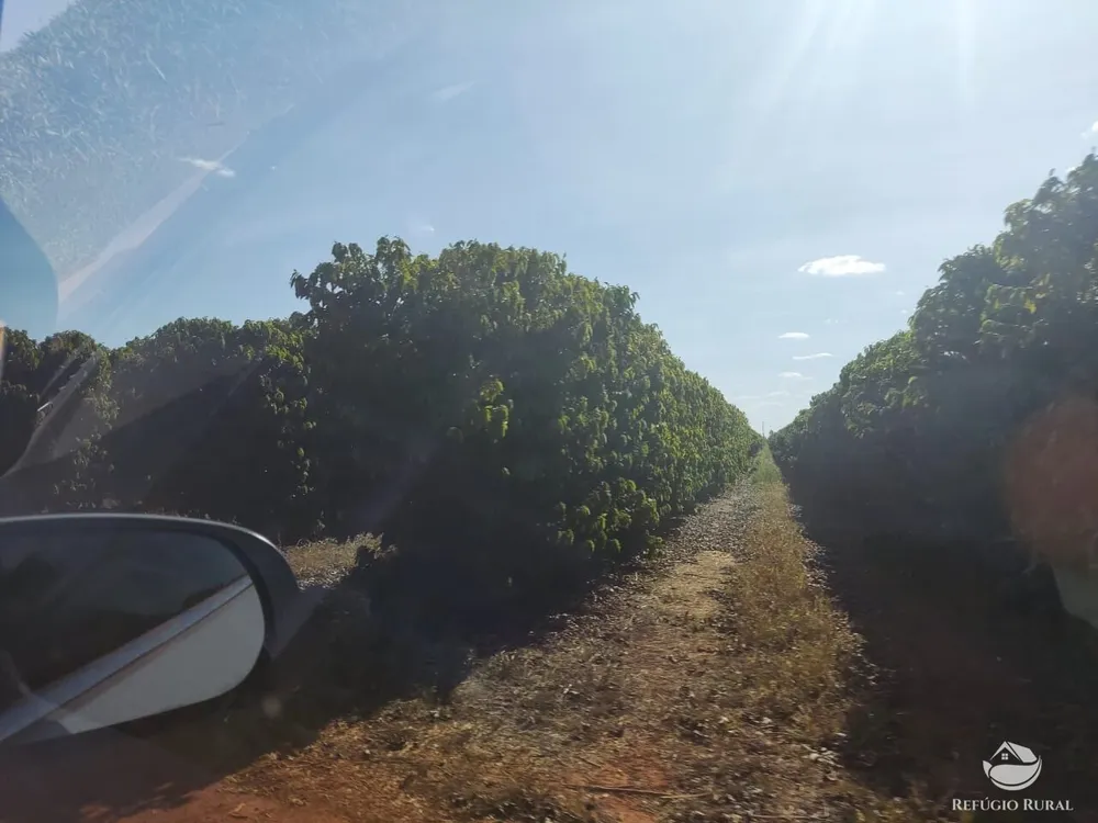 Fazenda, 470 hectares - Foto 11
