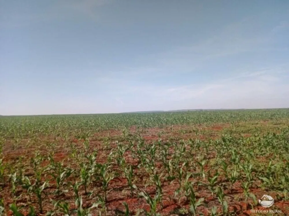 Fazenda, 470 hectares - Foto 2