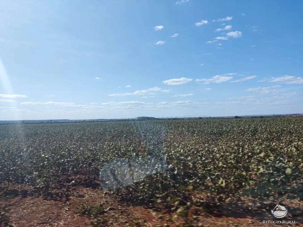 Fazenda, 470 hectares - Foto 4