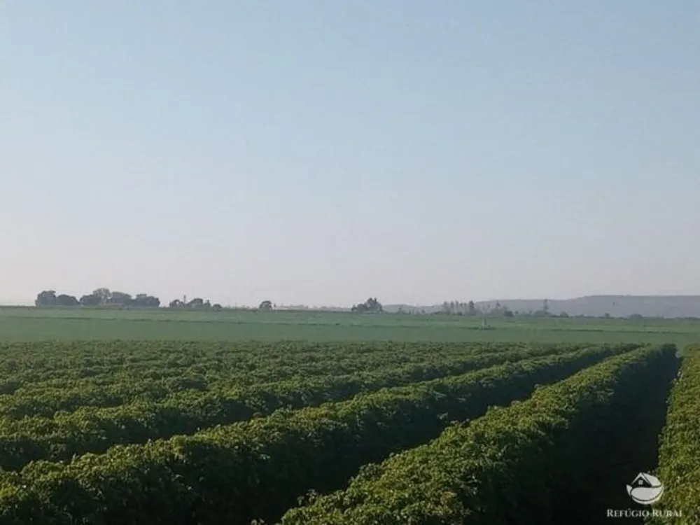 Fazenda, 470 hectares - Foto 1