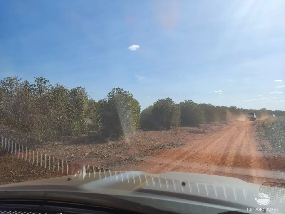 Fazenda, 470 hectares - Foto 7