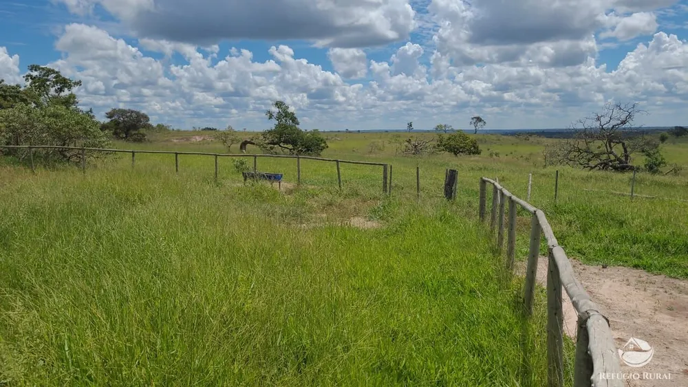 Fazenda, 3250 hectares - Foto 14
