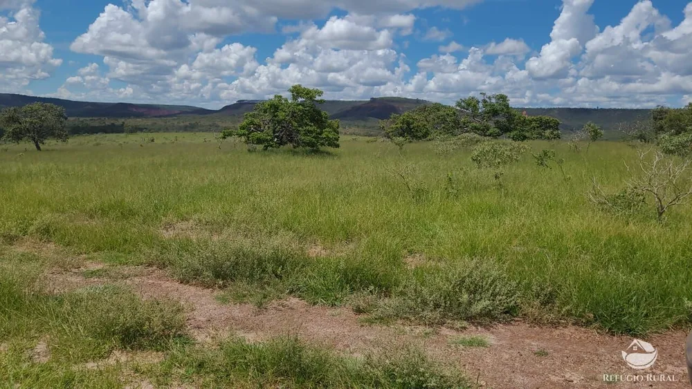 Fazenda, 3250 hectares - Foto 13