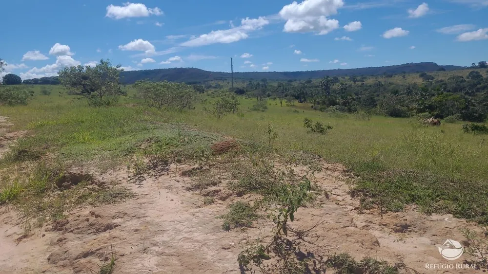 Fazenda, 3250 hectares - Foto 4