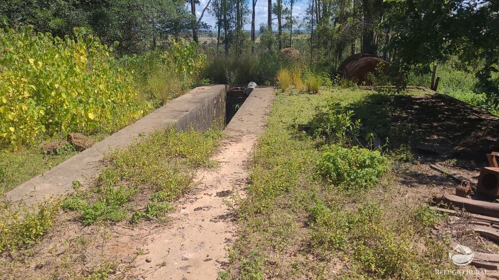 Fazenda, 3250 hectares - Foto 4