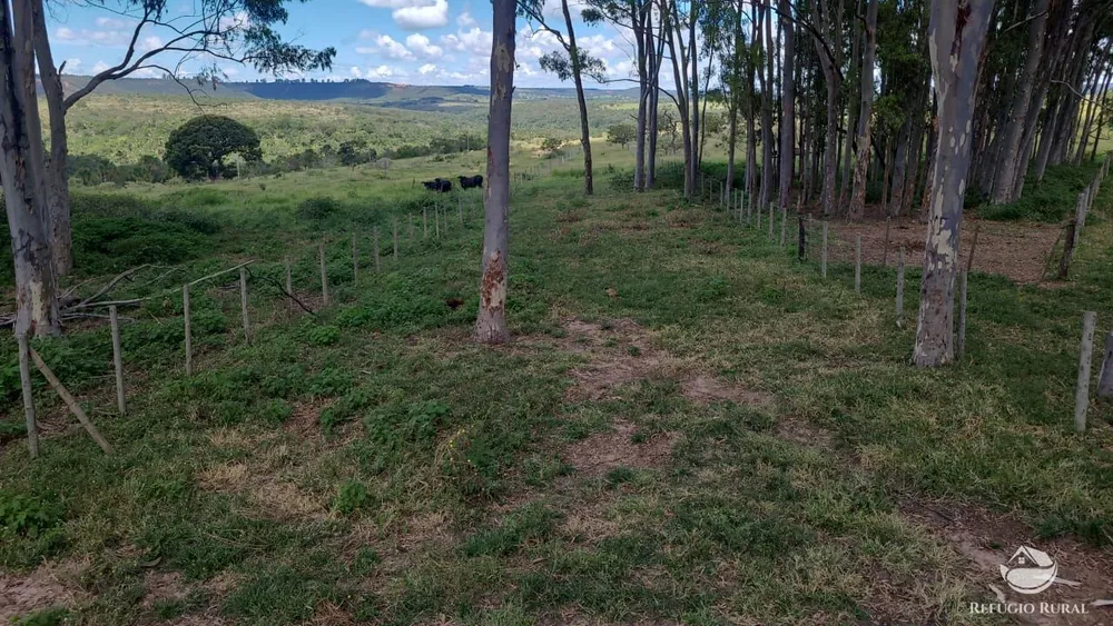 Fazenda, 3250 hectares - Foto 12