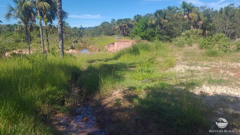 Fazenda, 3250 hectares - Foto 3
